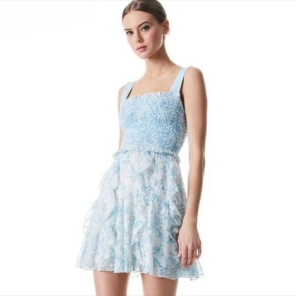 Alice & Olivia Jocelyn Smocked Ruffled Mini Dress